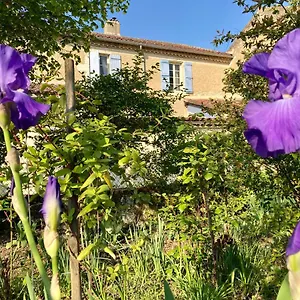 Bed & Breakfast Le Petit Cochon